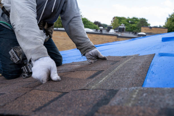 Best Roof Gutter Cleaning  in Joseph, OR